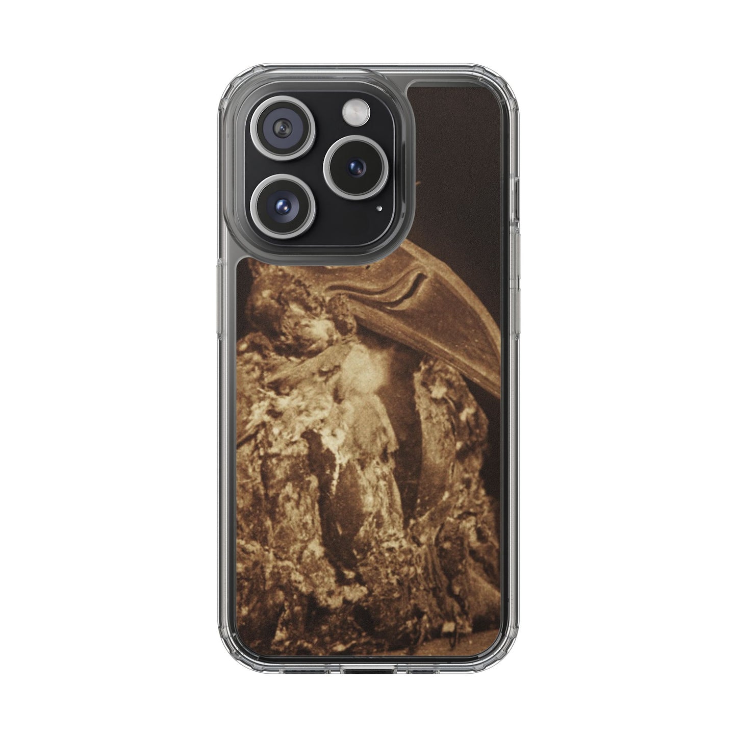 Yei Vintage Bird Design Clear Phone Case, Artistic Phone Accessories, Unique Gift for Nature Lovers, Eco-Friendly Tech Case, Stylish Protection