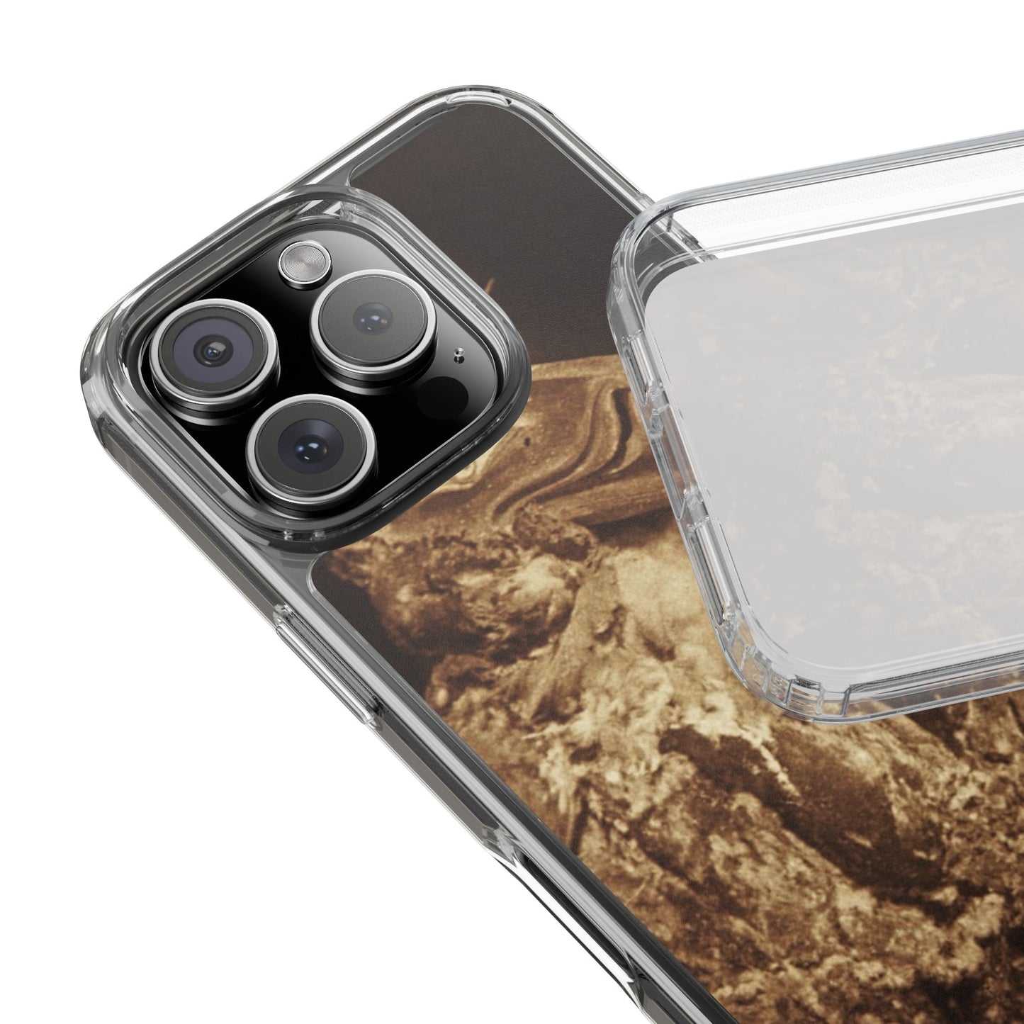 Yei Vintage Bird Design Clear Phone Case, Artistic Phone Accessories, Unique Gift for Nature Lovers, Eco-Friendly Tech Case, Stylish Protection
